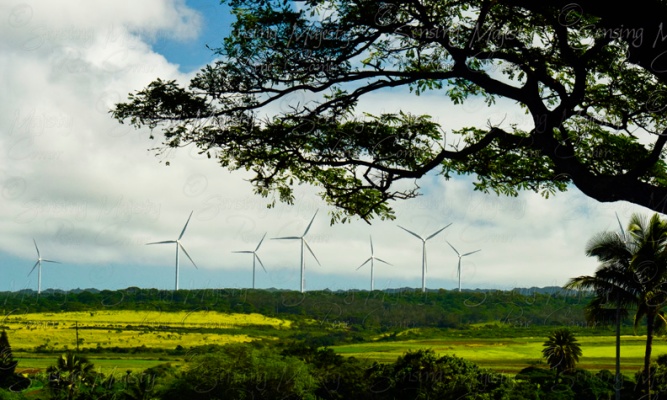 Wind Turbines Wall Art, Fine Art Nature Photography, Various Sizes Available