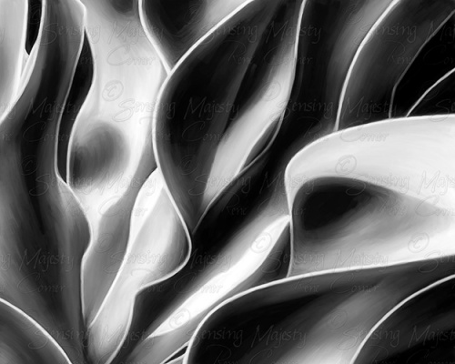 Organic Abstract Black and White, Digital Painting, Various Sizes Available