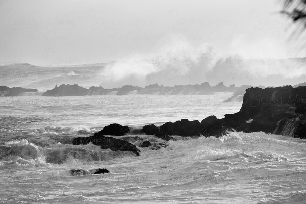Ocean Mist, Black and White Photography, Size and Printing Options